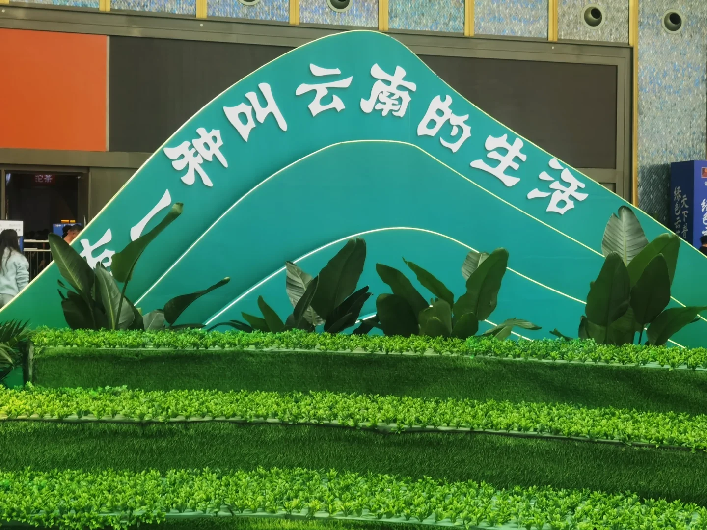 昆明探店|官渡区第17届云南茶博会