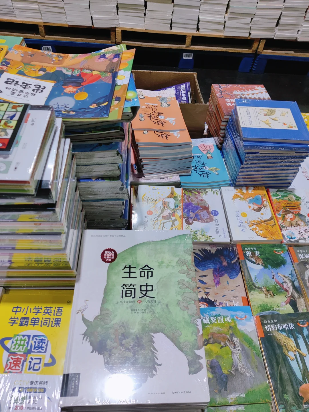 2024南京春季馆藏图书展销会?
