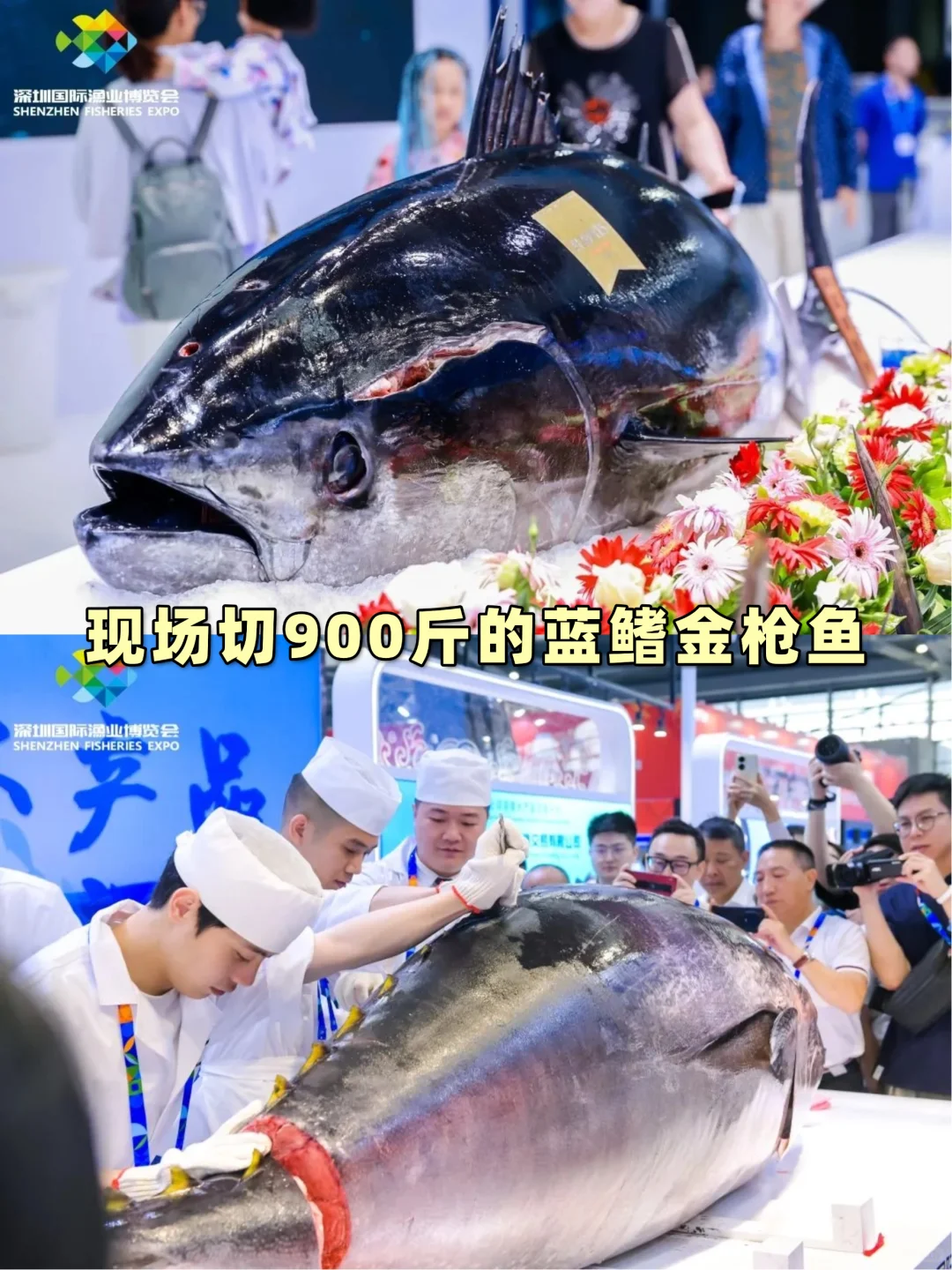 2025深圳渔博会来啦?免费逛展吃海鲜！