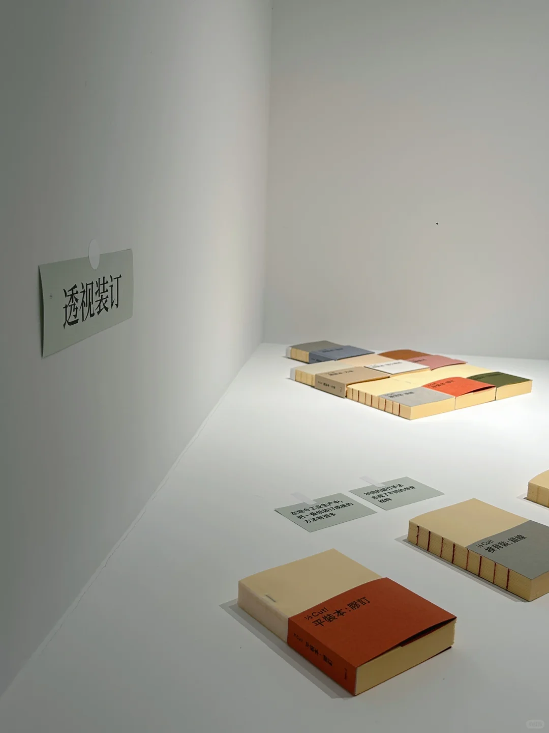 为什么一个书籍设计展上会出现马桶？