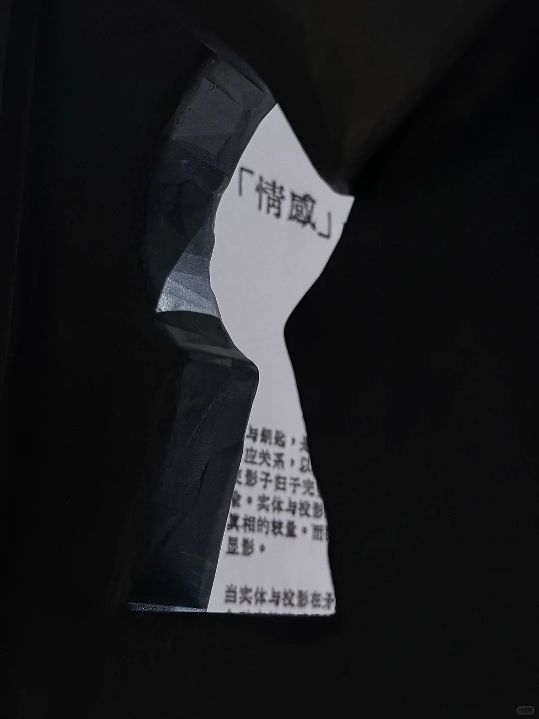 SKULLPANDA围困设计展