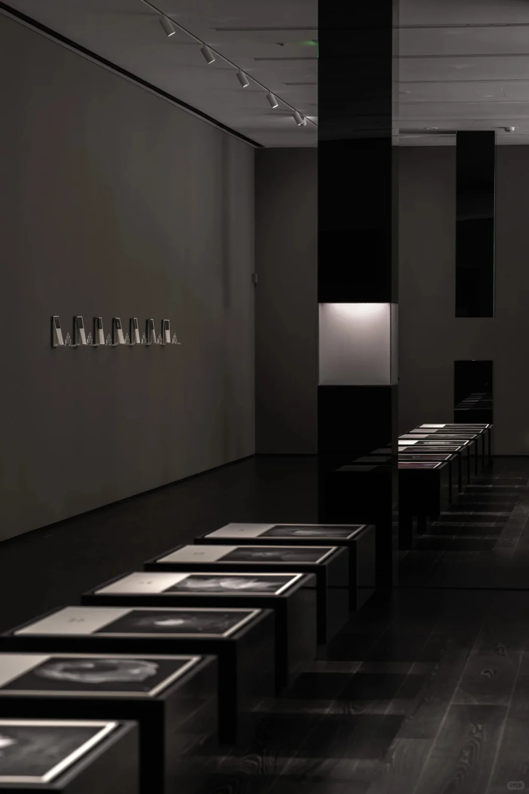 本周五晚免费活动 上生新所茑屋书店&适马展