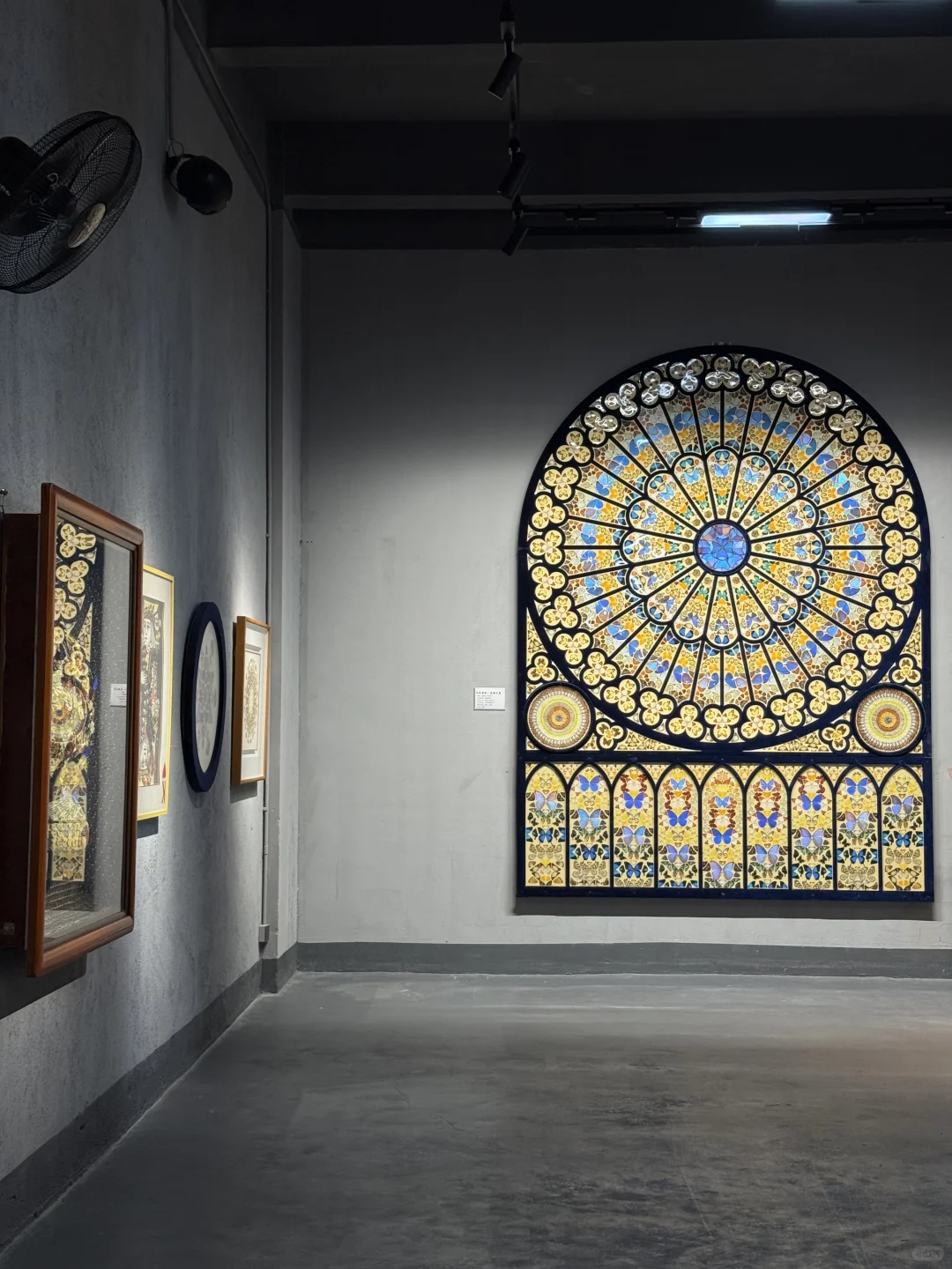 广州新展！！超好看的蝴蝶展！！！！！！??