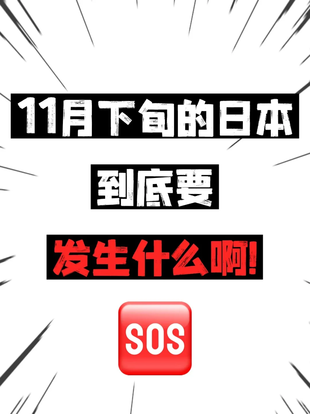 11月中旬日本要怎么了？？？