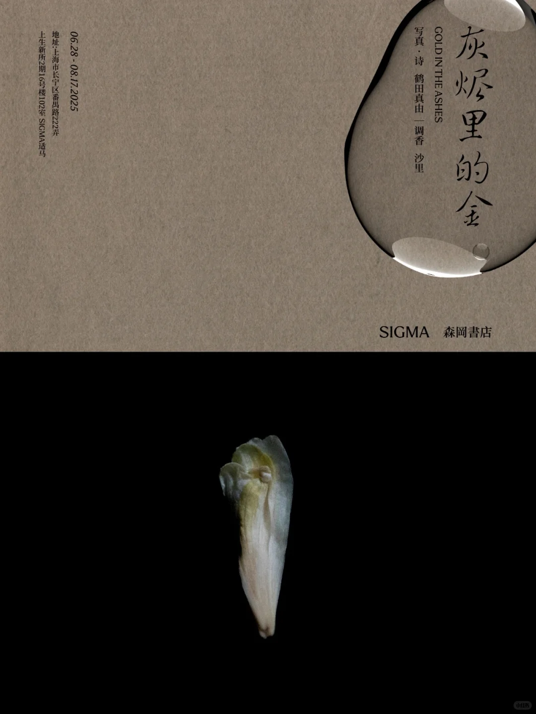 本周五晚免费活动 上生新所茑屋书店&适马展