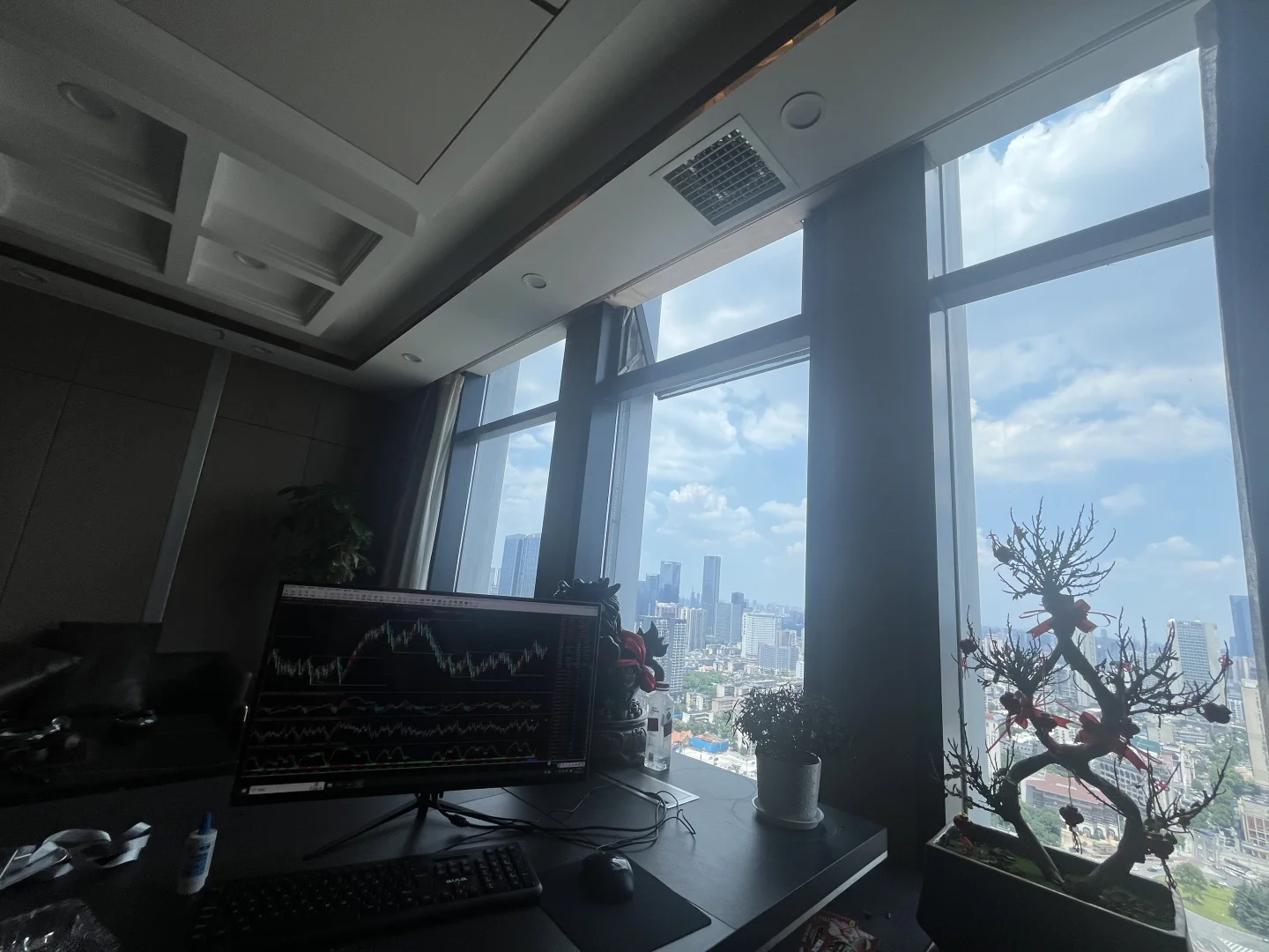这是我在办公室里的view