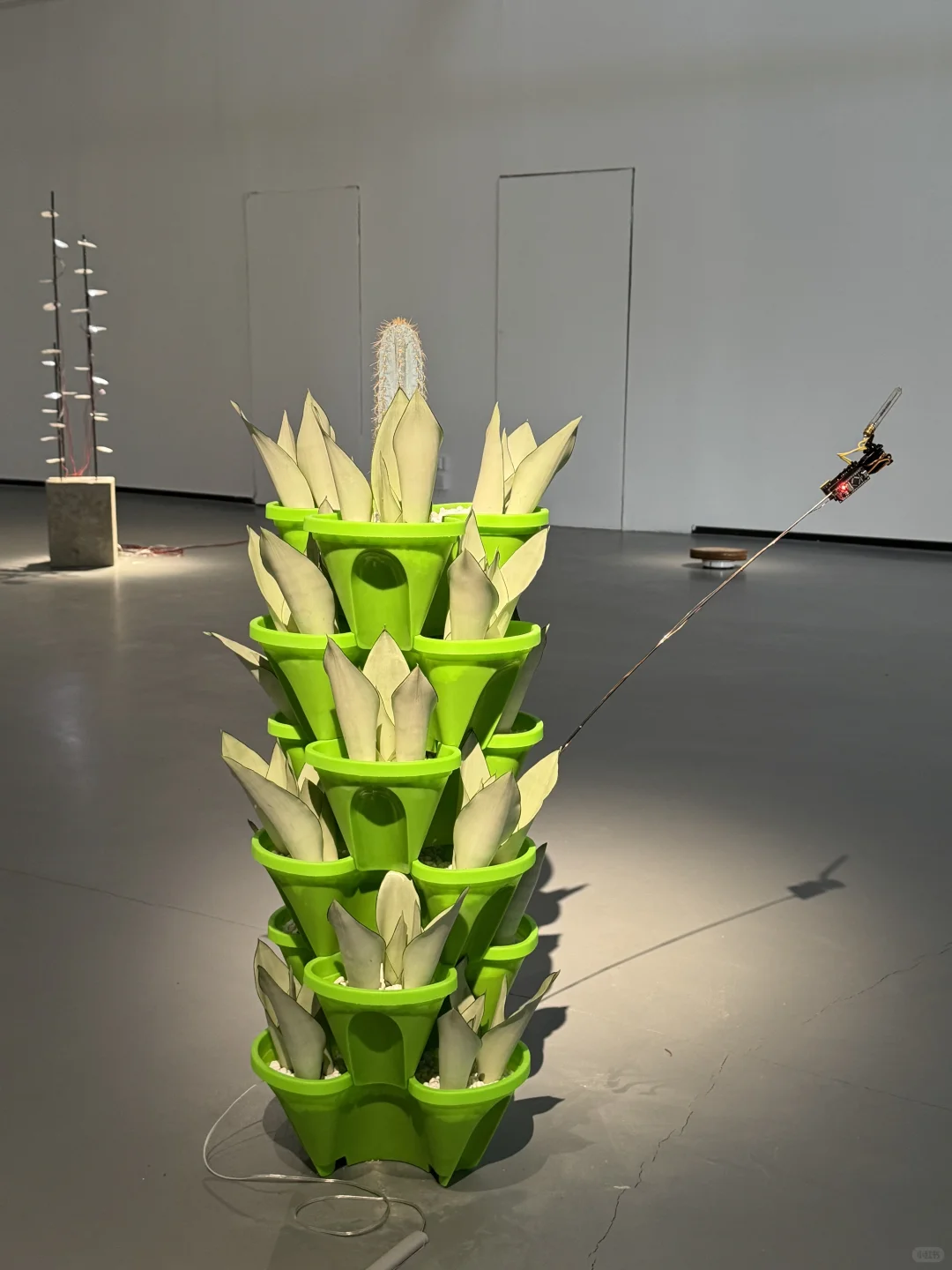 北京新展！！看到了会动的GIF