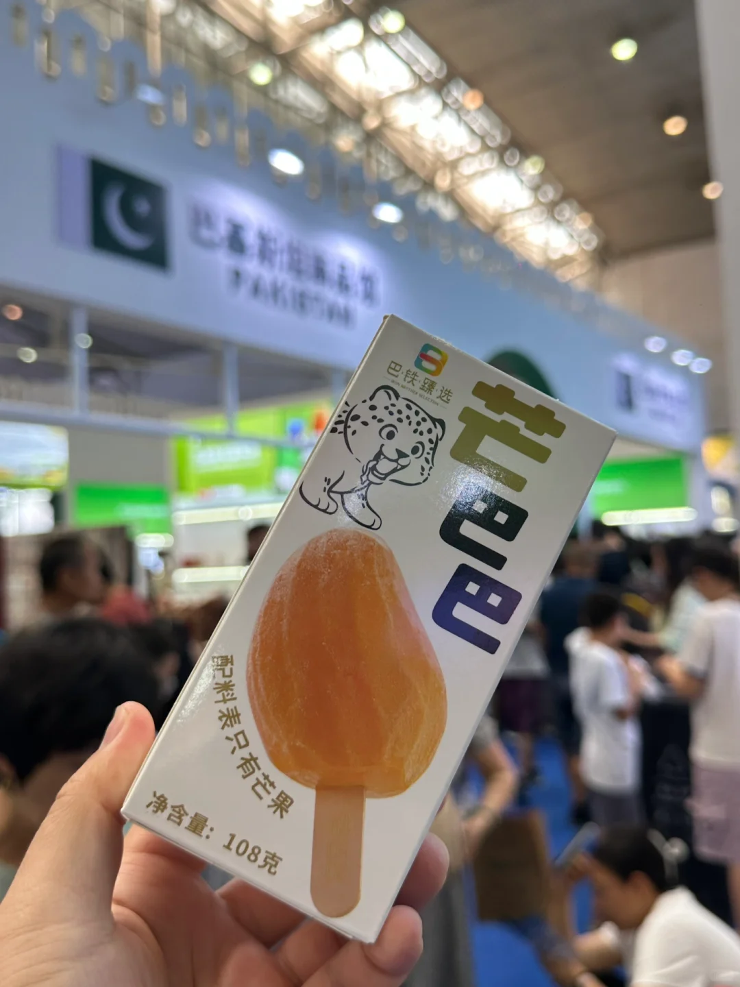 证明去过2025年亚欧博览会