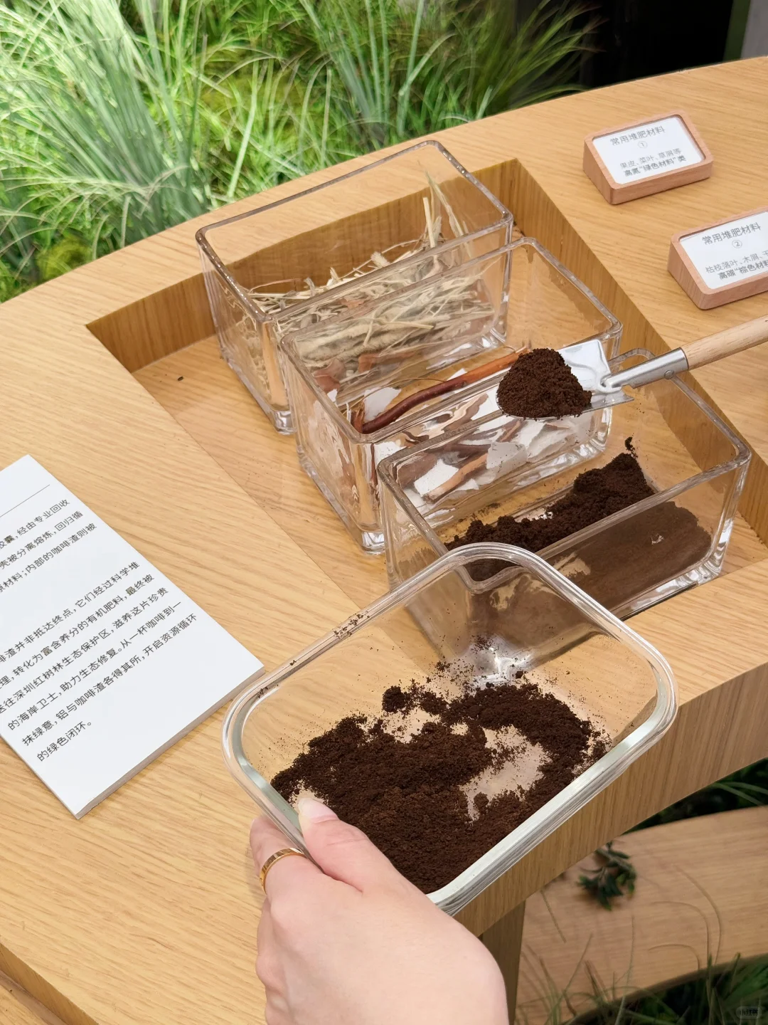 深圳新展·?????????可持续生活展