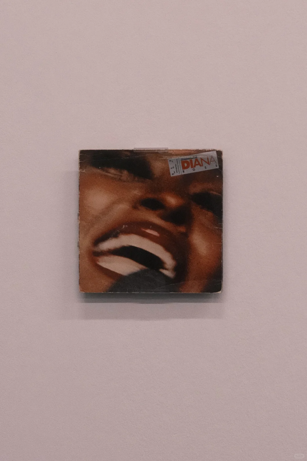 柏林双年展｜逃逸(Fugitivity)