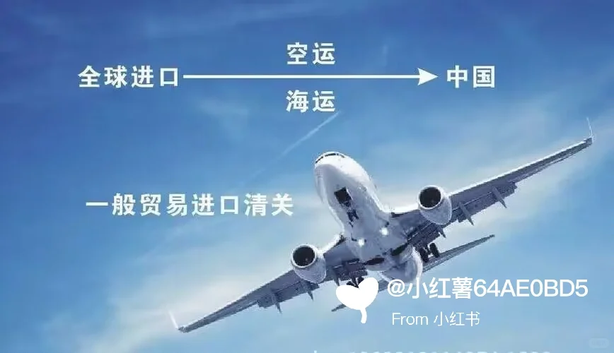 一般贸易进口报关流程小知识分享