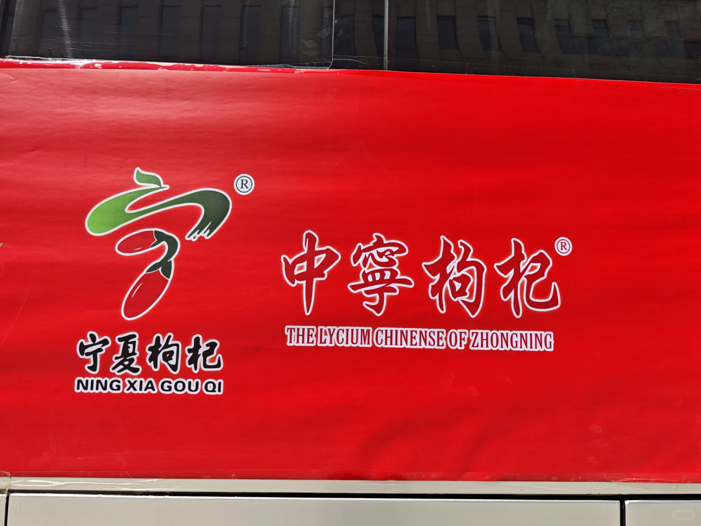 中宁枸杞博览会，枸杞届的“红”运当头