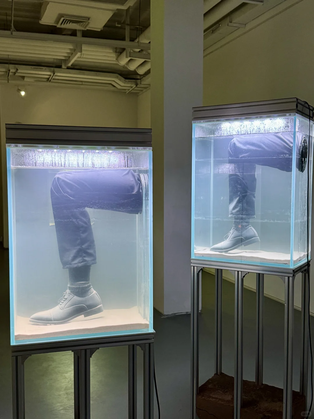 北京新展！！看到了会动的GIF