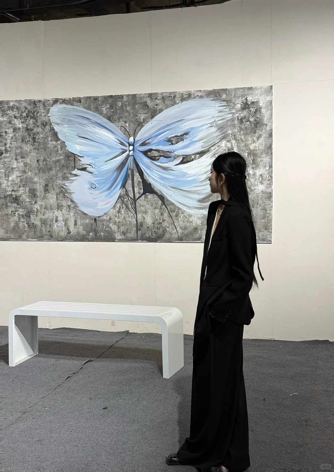 Butterfly? 蝴蝶展|自由之境?