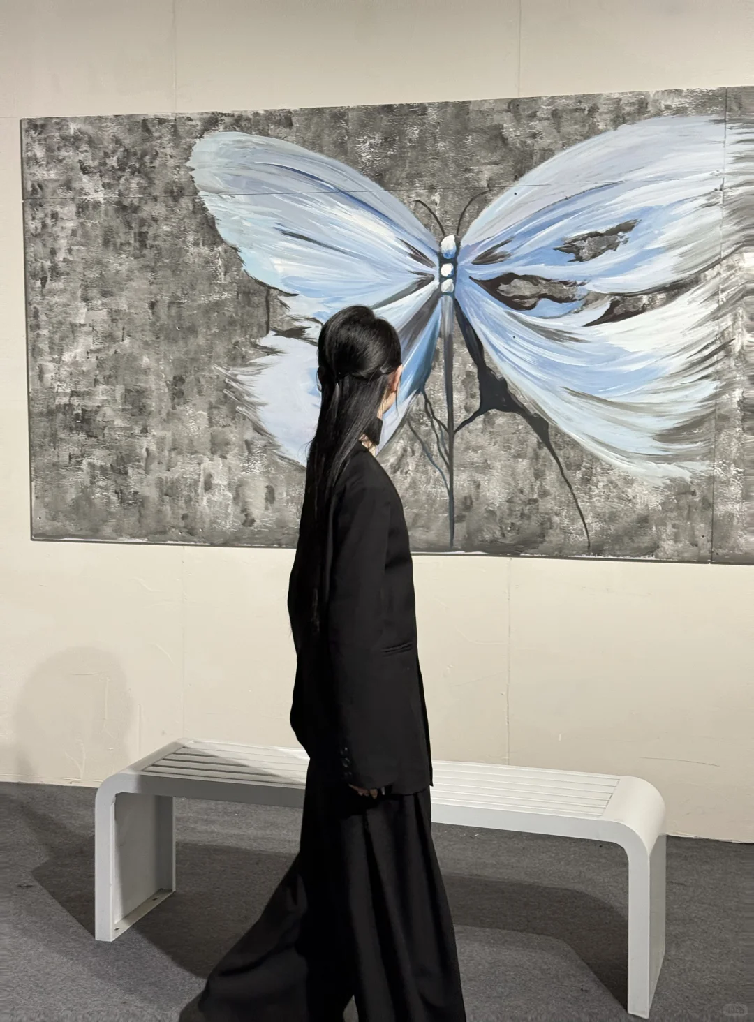 Butterfly? 蝴蝶展|自由之境?