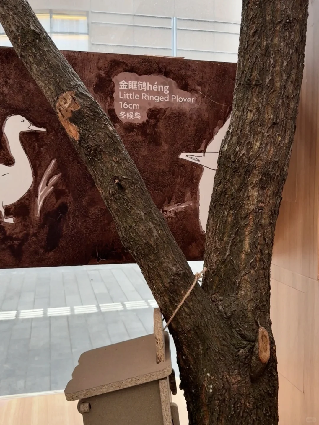 深圳新展· ?????????可持续快闪…
