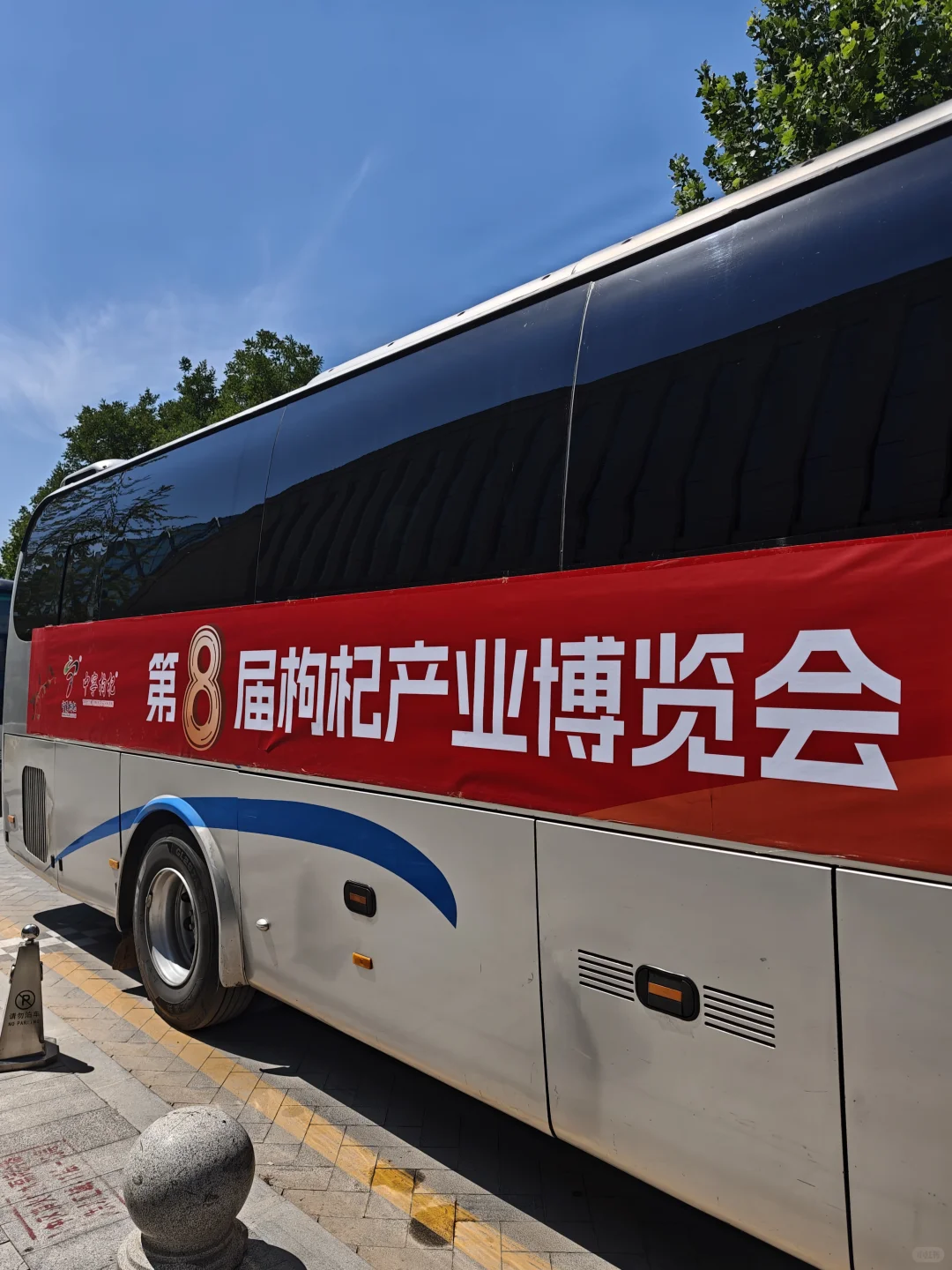中宁枸杞博览会，枸杞届的“红”运当头