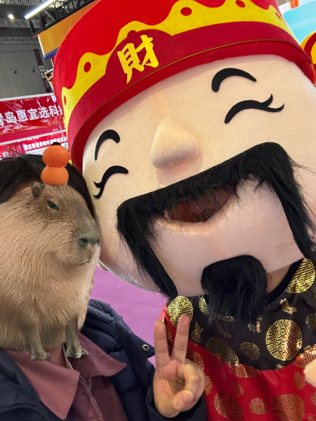 白嫖党上海国家展览速递（二）