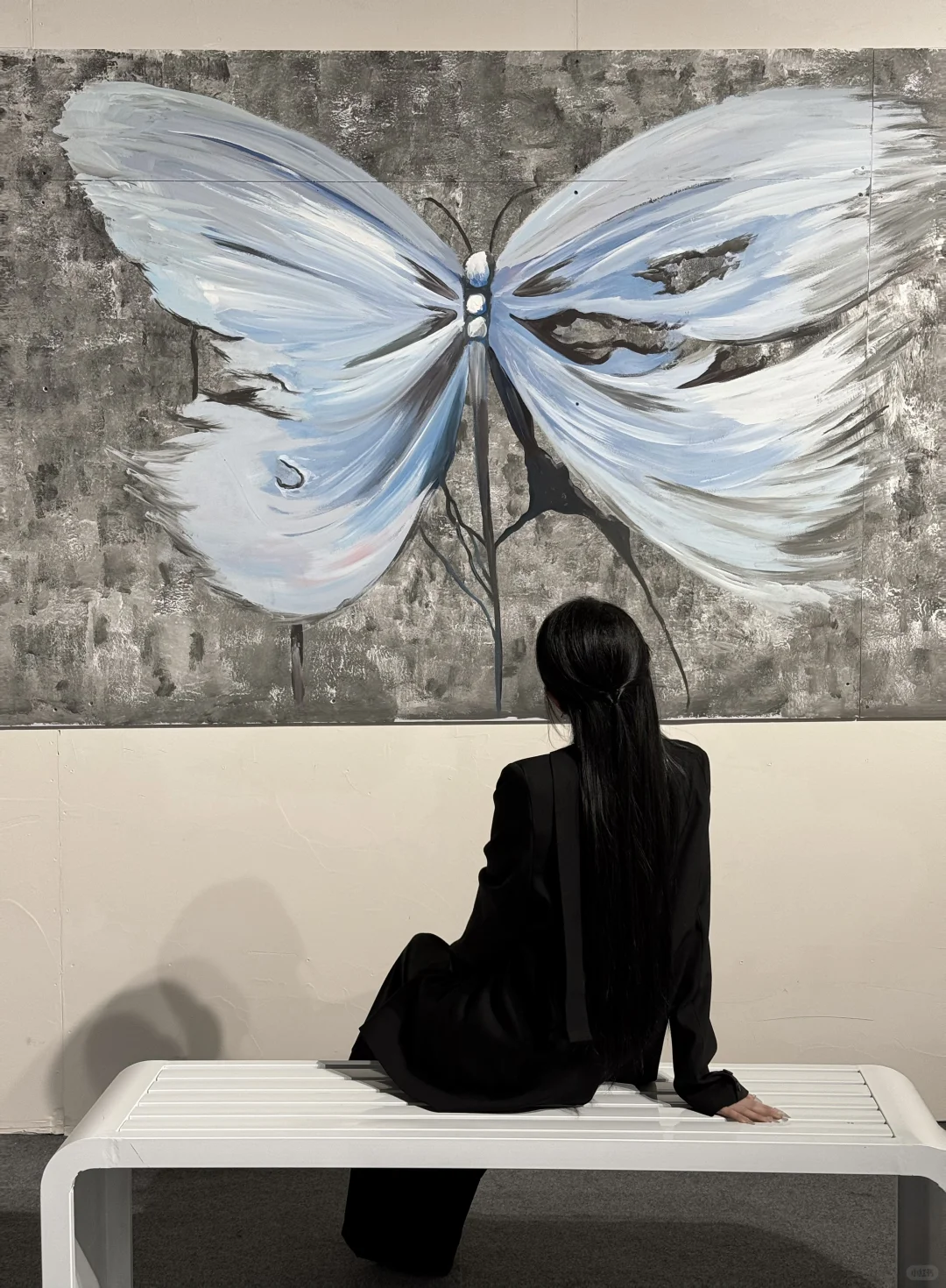 Butterfly? 蝴蝶展|自由之境?