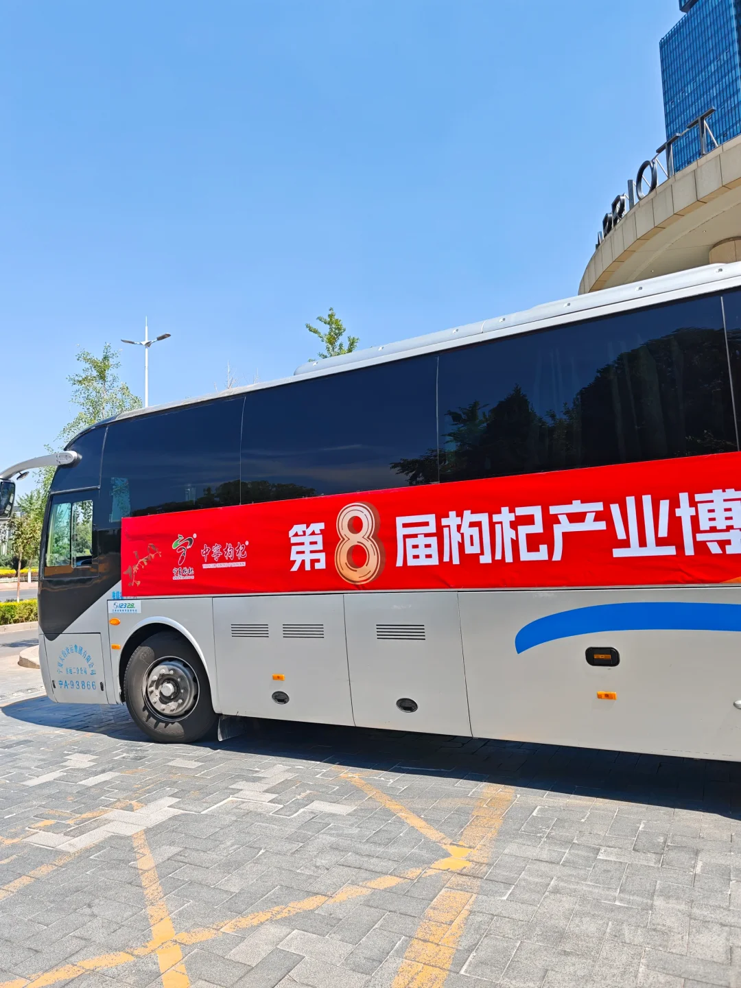 中宁枸杞博览会，枸杞届的“红”运当头