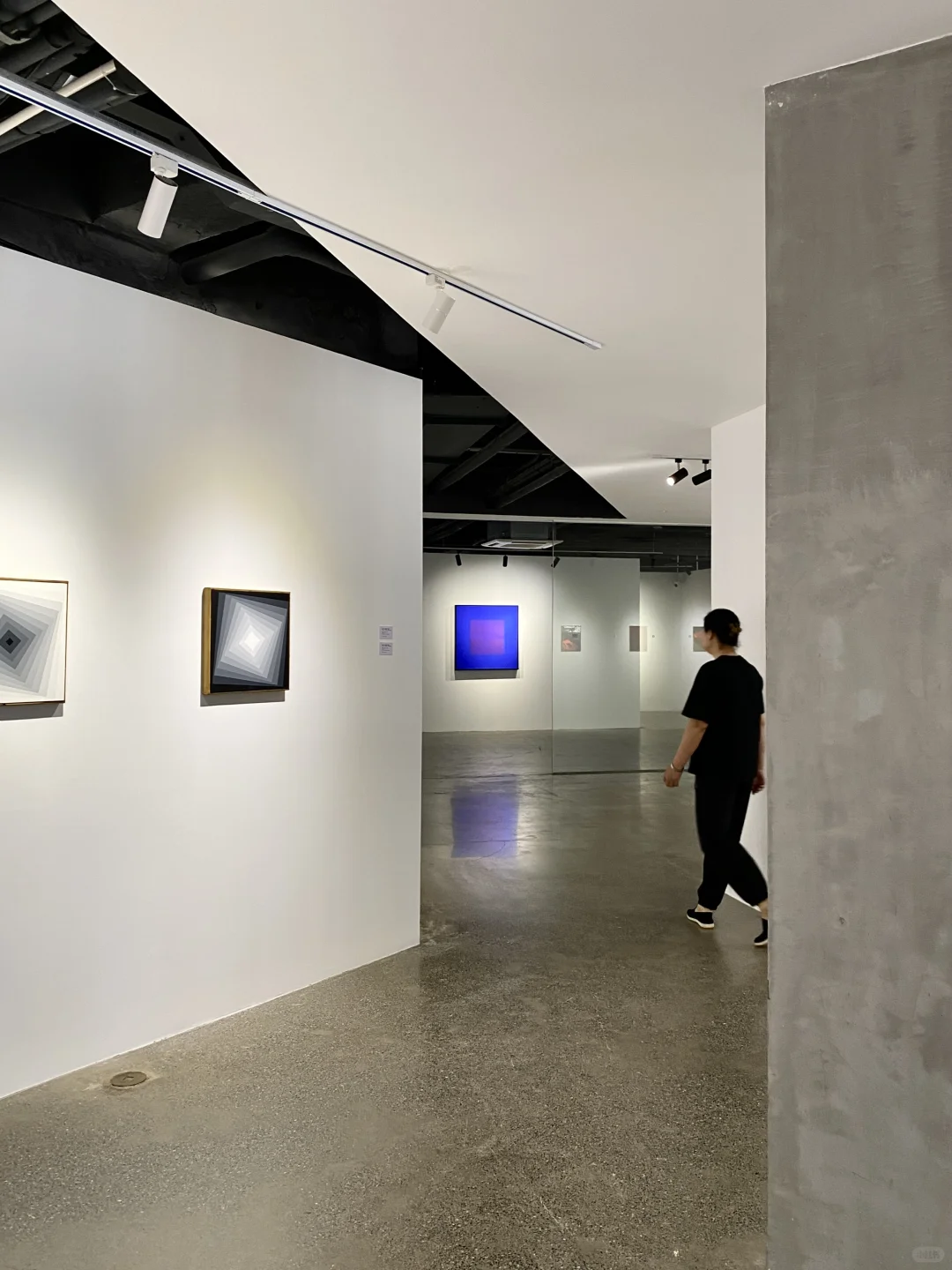 大连星海新展，“无际”艺术秘境探索……