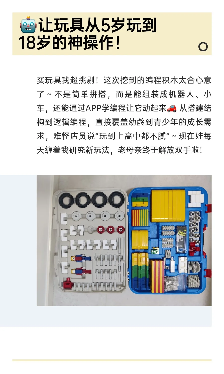 ✨逛亚欧博览会挖到宝！