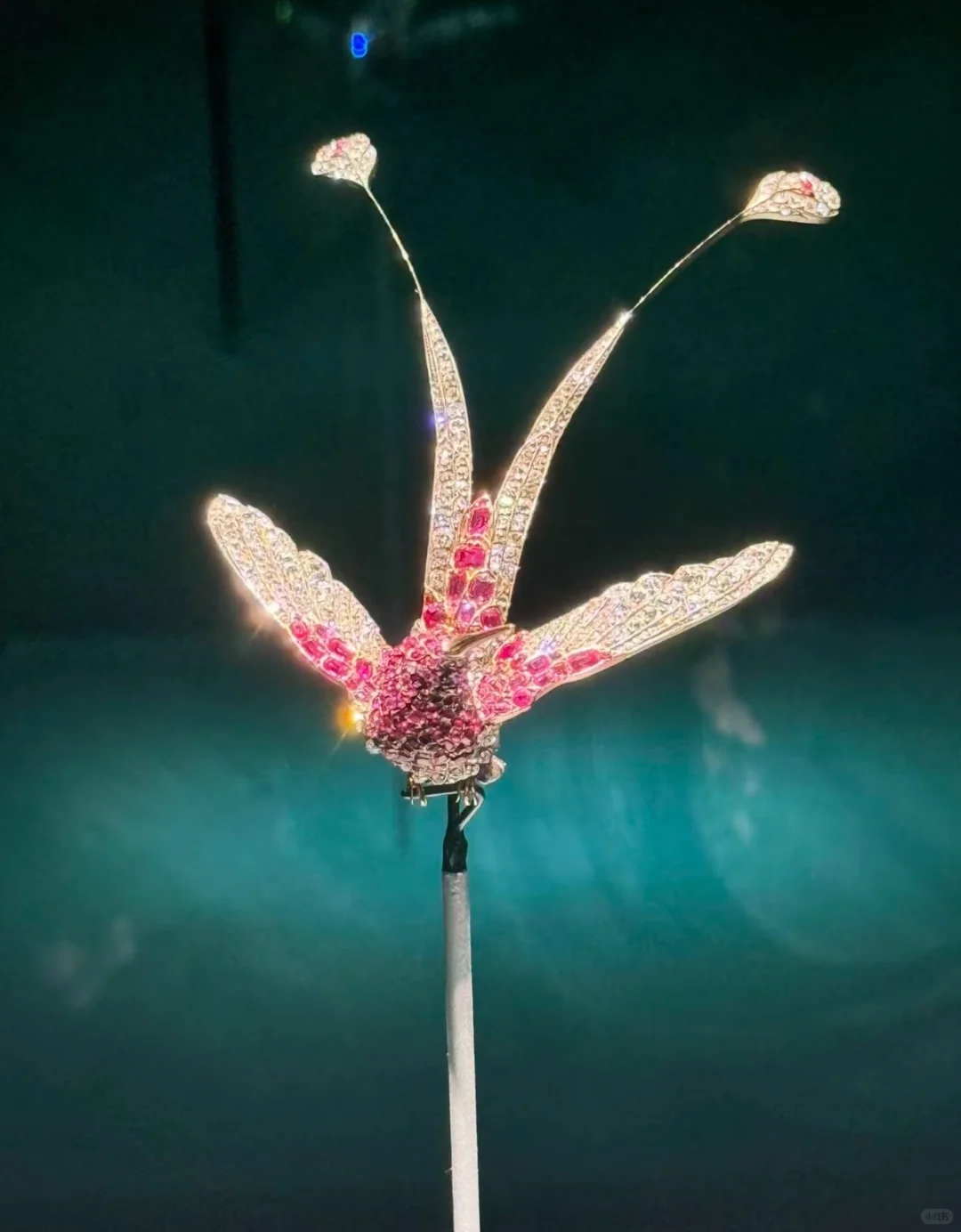 杭州看展「绽放」16至20世纪典藏珍宝艺术展