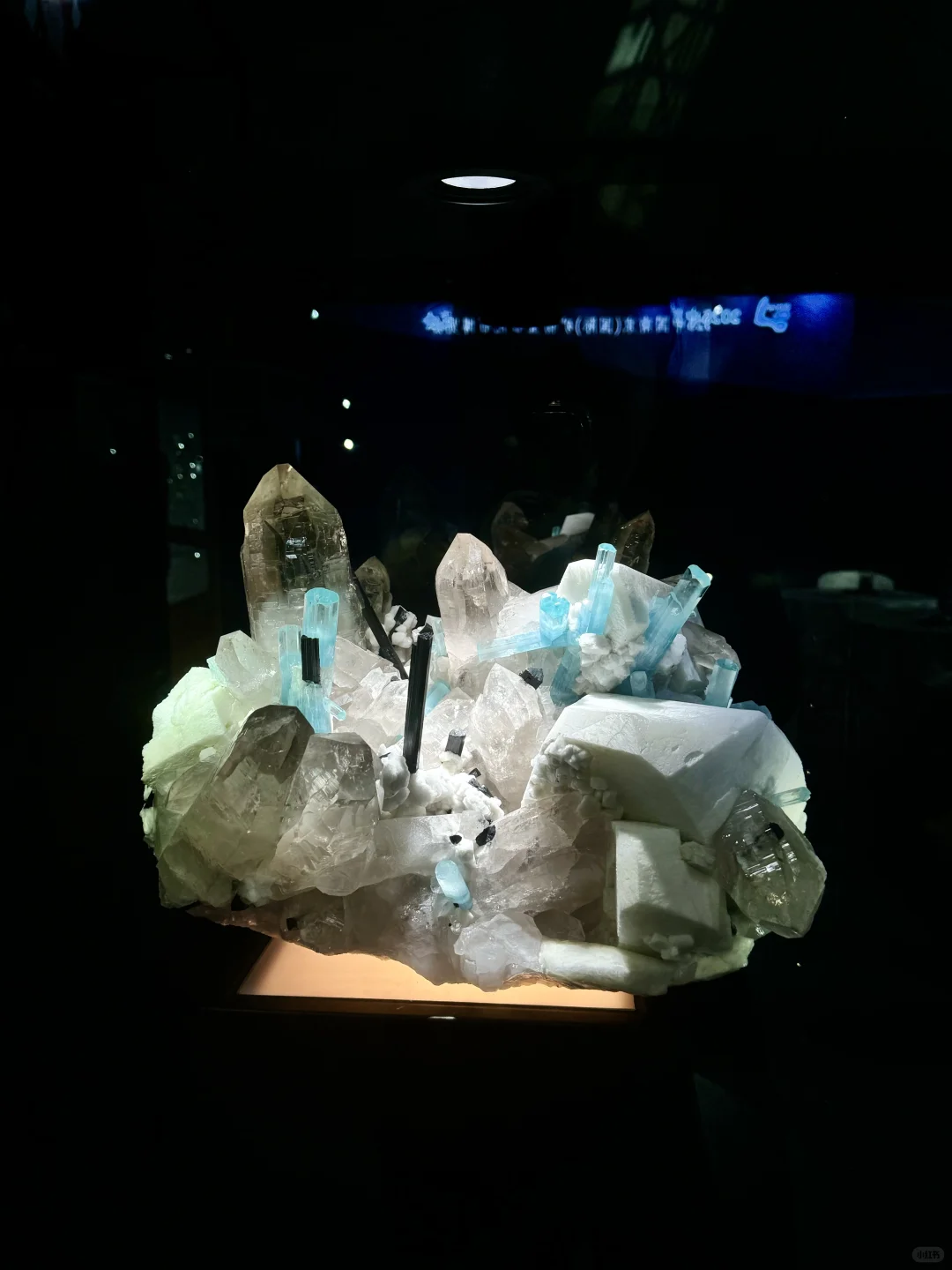 人家参展都是提前一年或者几个月准备…