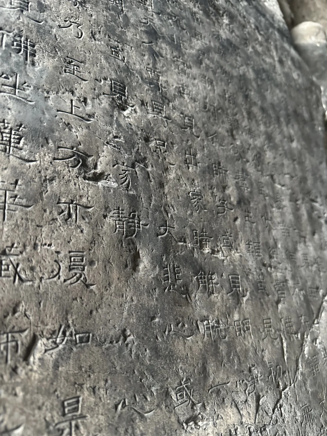 哈哈哈，拍个打卡照