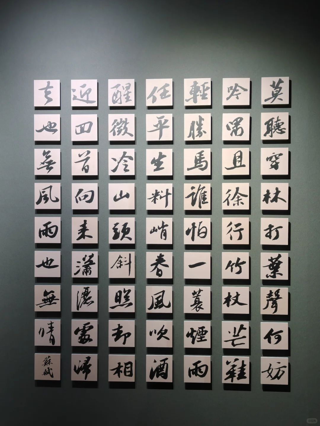 无锡新展❗❗与北宋苏东坡来一场梦的邂逅