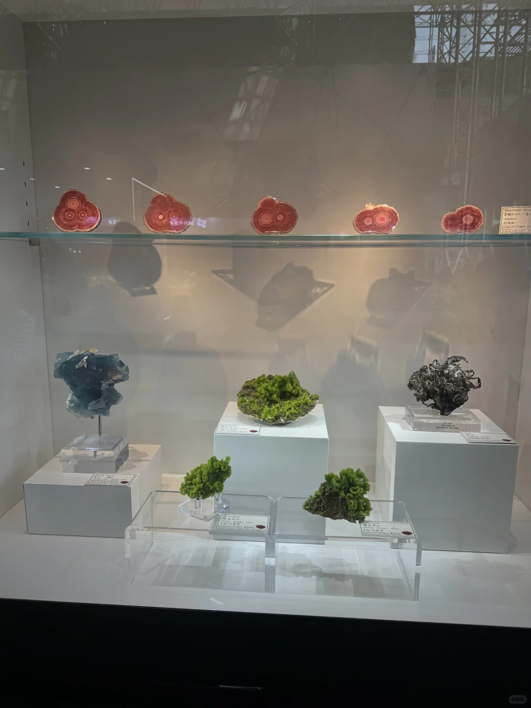 人家参展都是提前一年或者几个月准备…