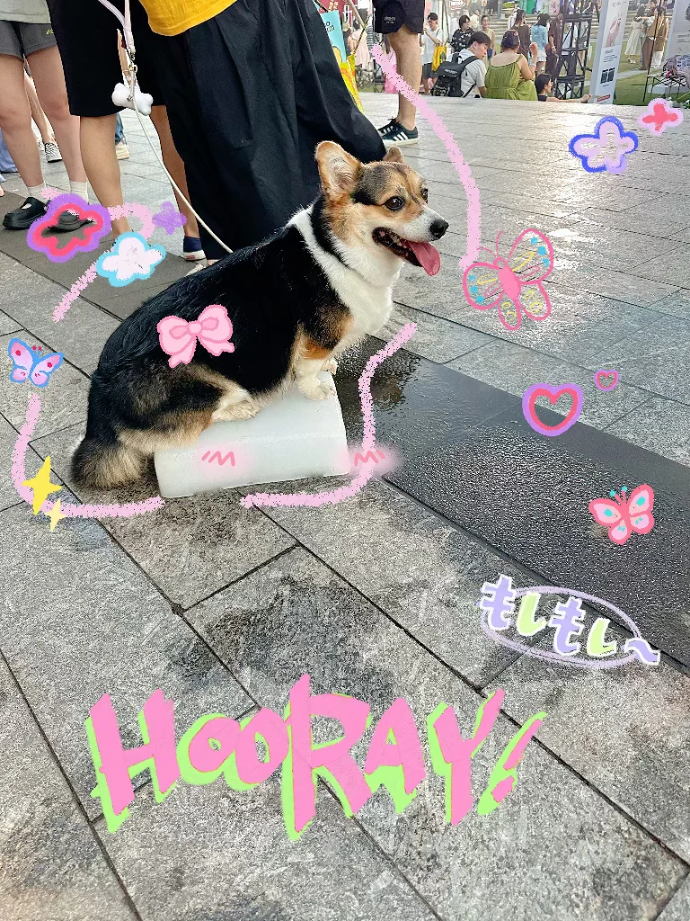 ?【它博集 · 杭州站】展会返图来啦！?