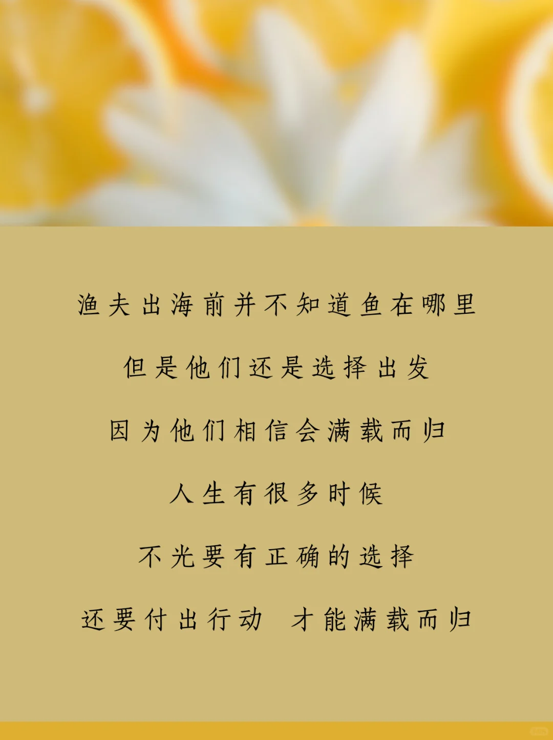 吸引代理朋友圈这样发，立马找你的文案合集