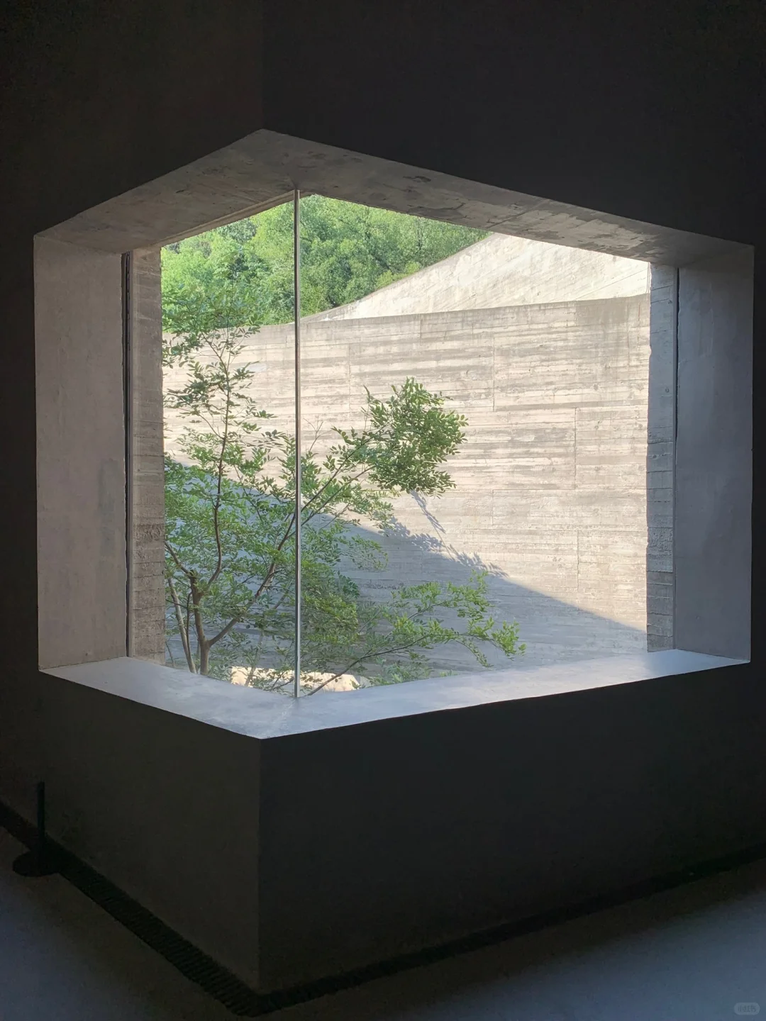看展日?