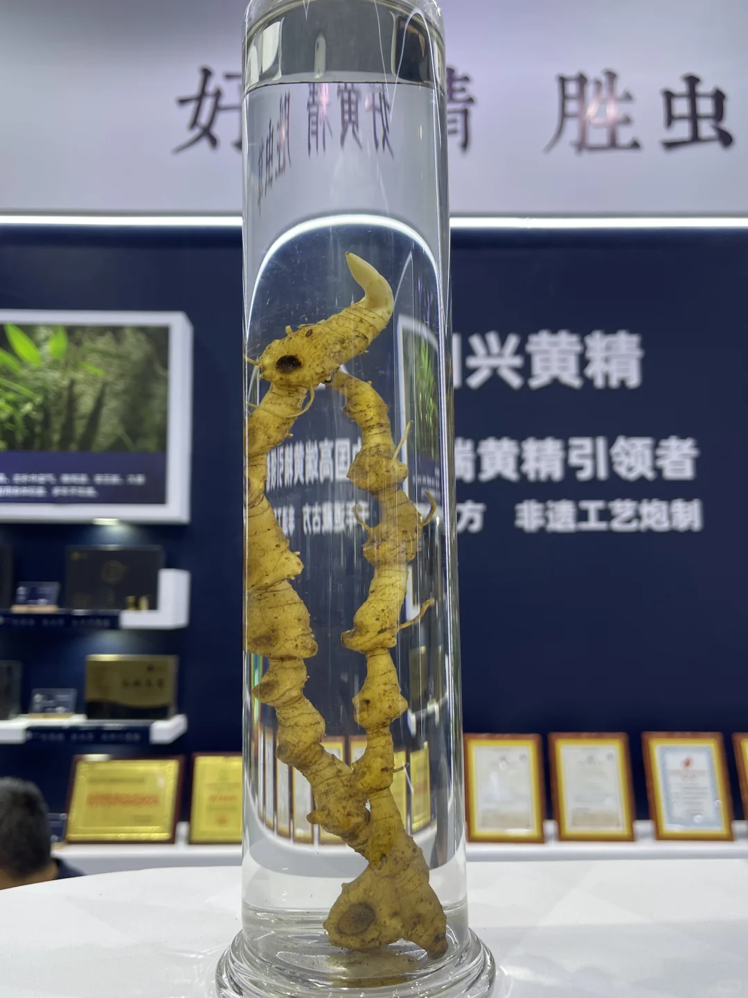 广州广交会全国药品交易会现场?