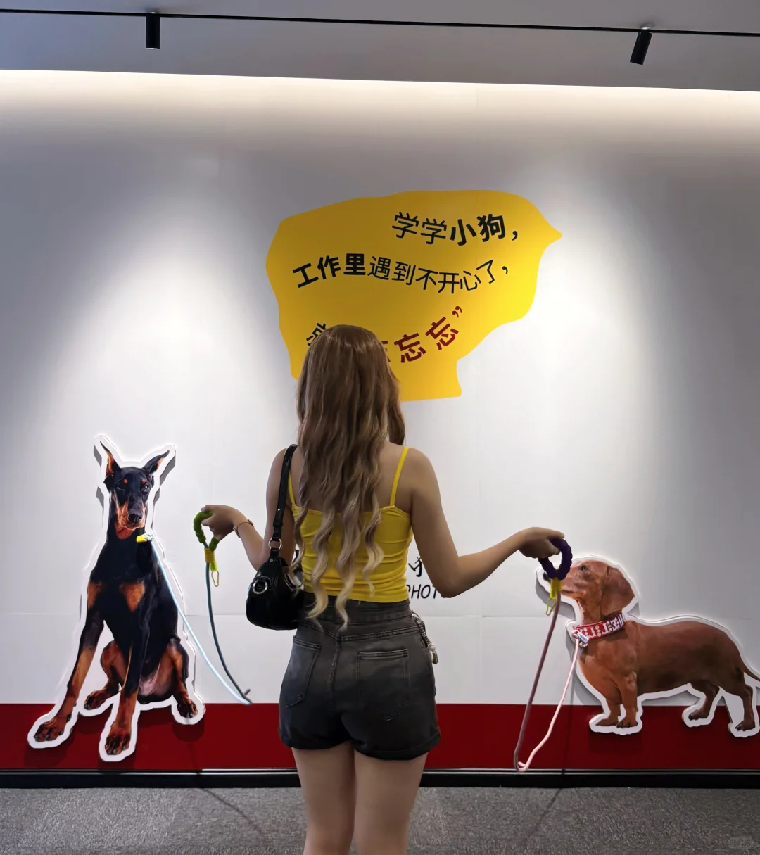 深圳免费展｜多巴胺配色的潮流艺术展