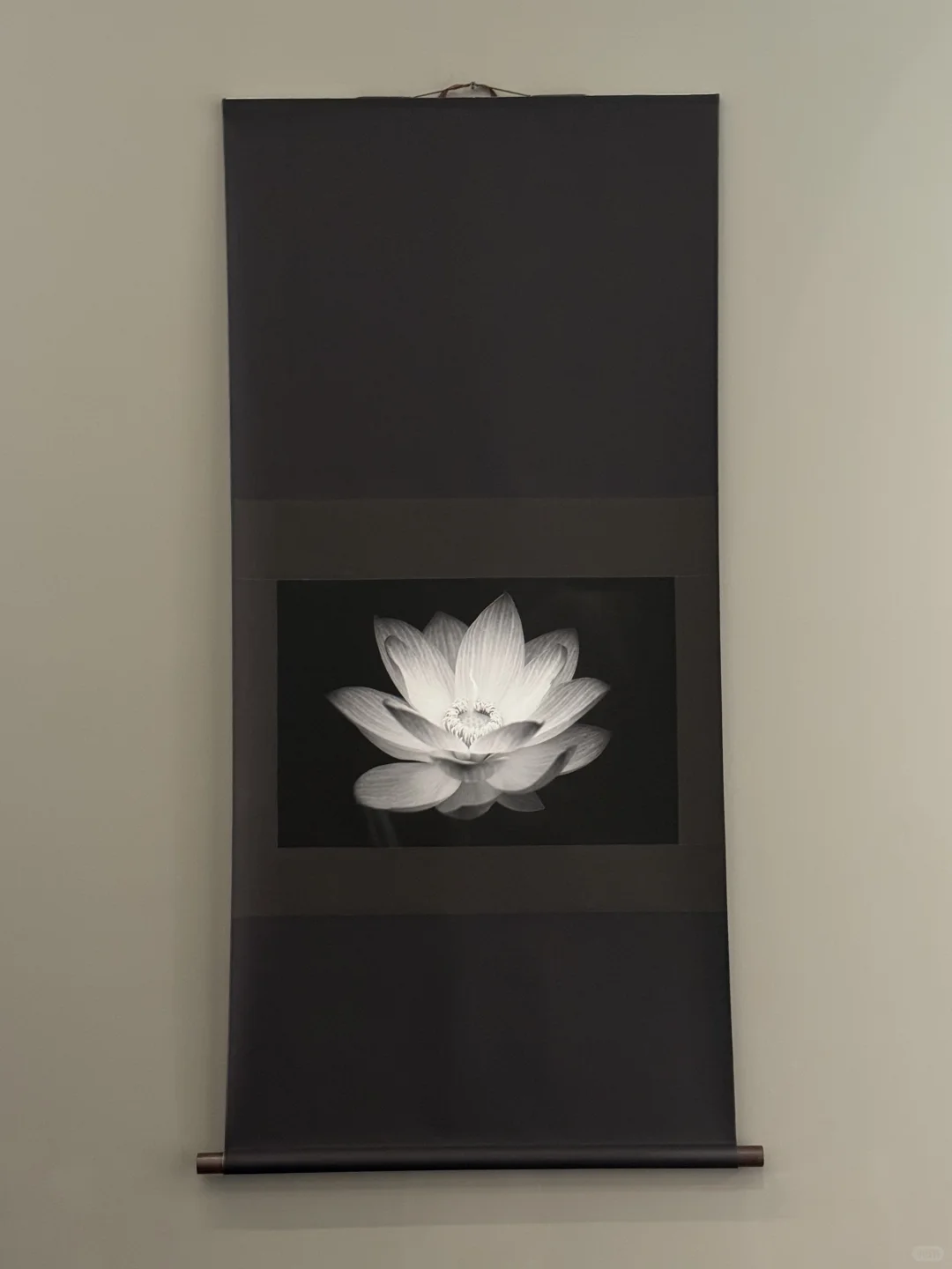 上海新展 | 打工人下班也可以看的展?
