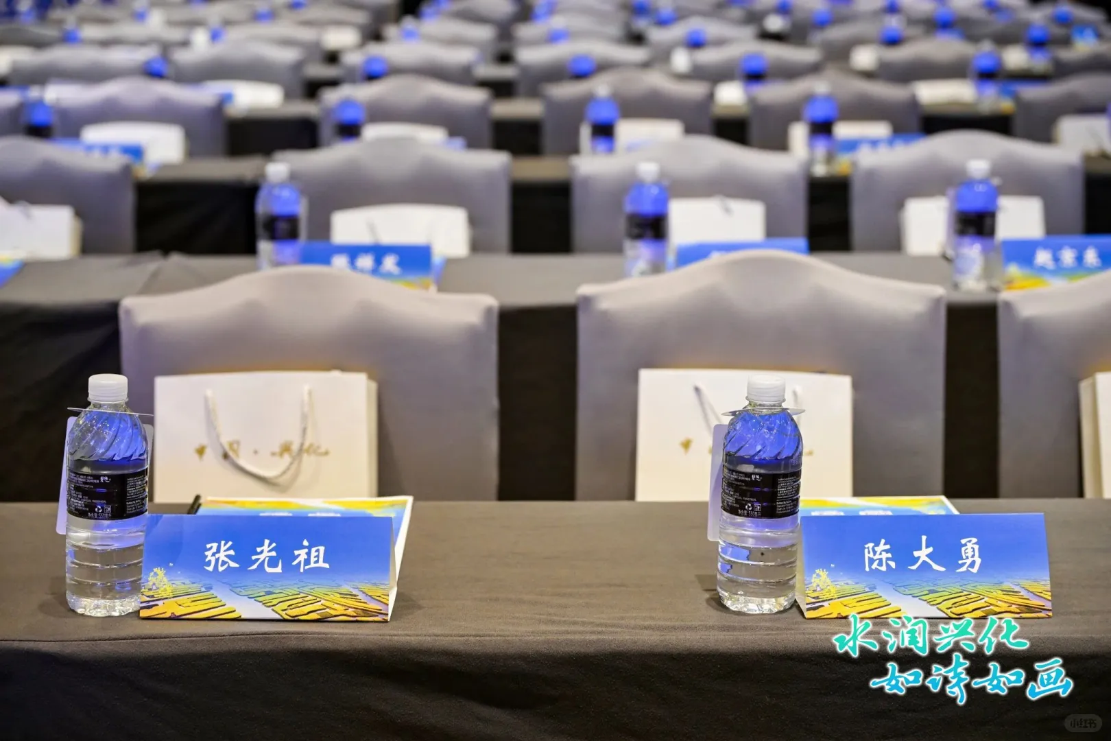 2025泰州兴化大健康产业推介会，沪上绽放