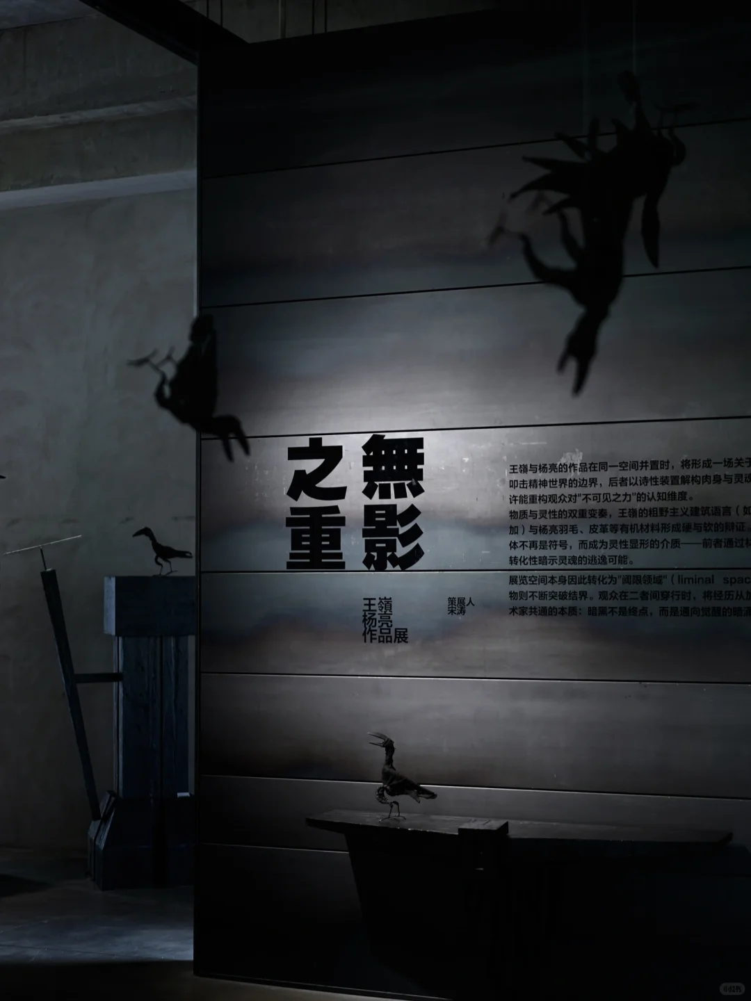 北京！果然最NB的展览都是免费的！