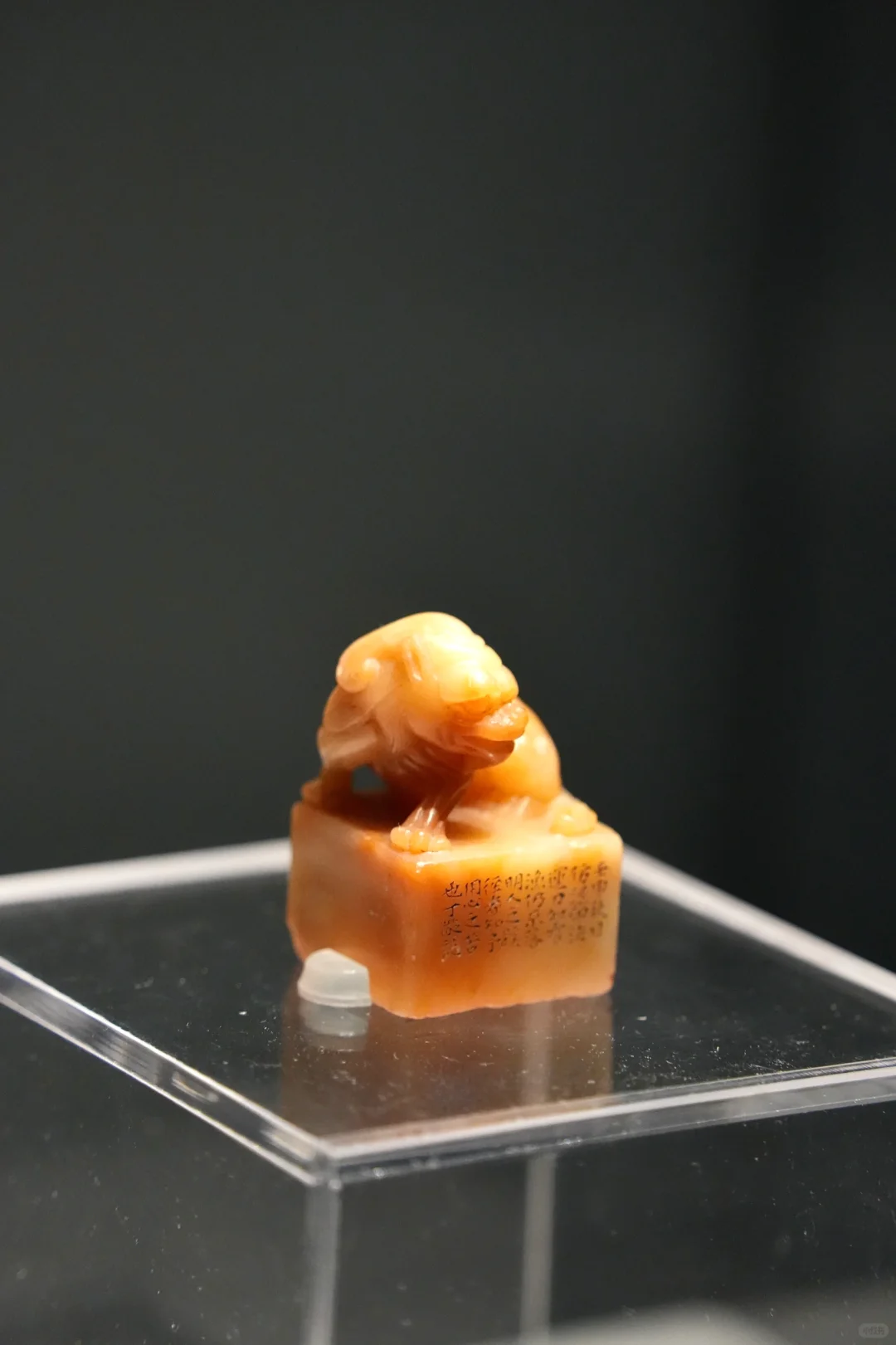 北京新展！！！这次真要被美哭了！！！?