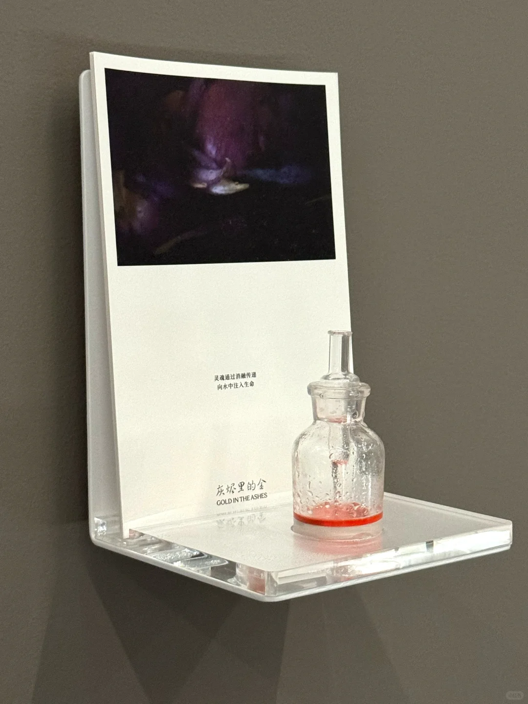 上海新展 | 打工人下班也可以看的展?
