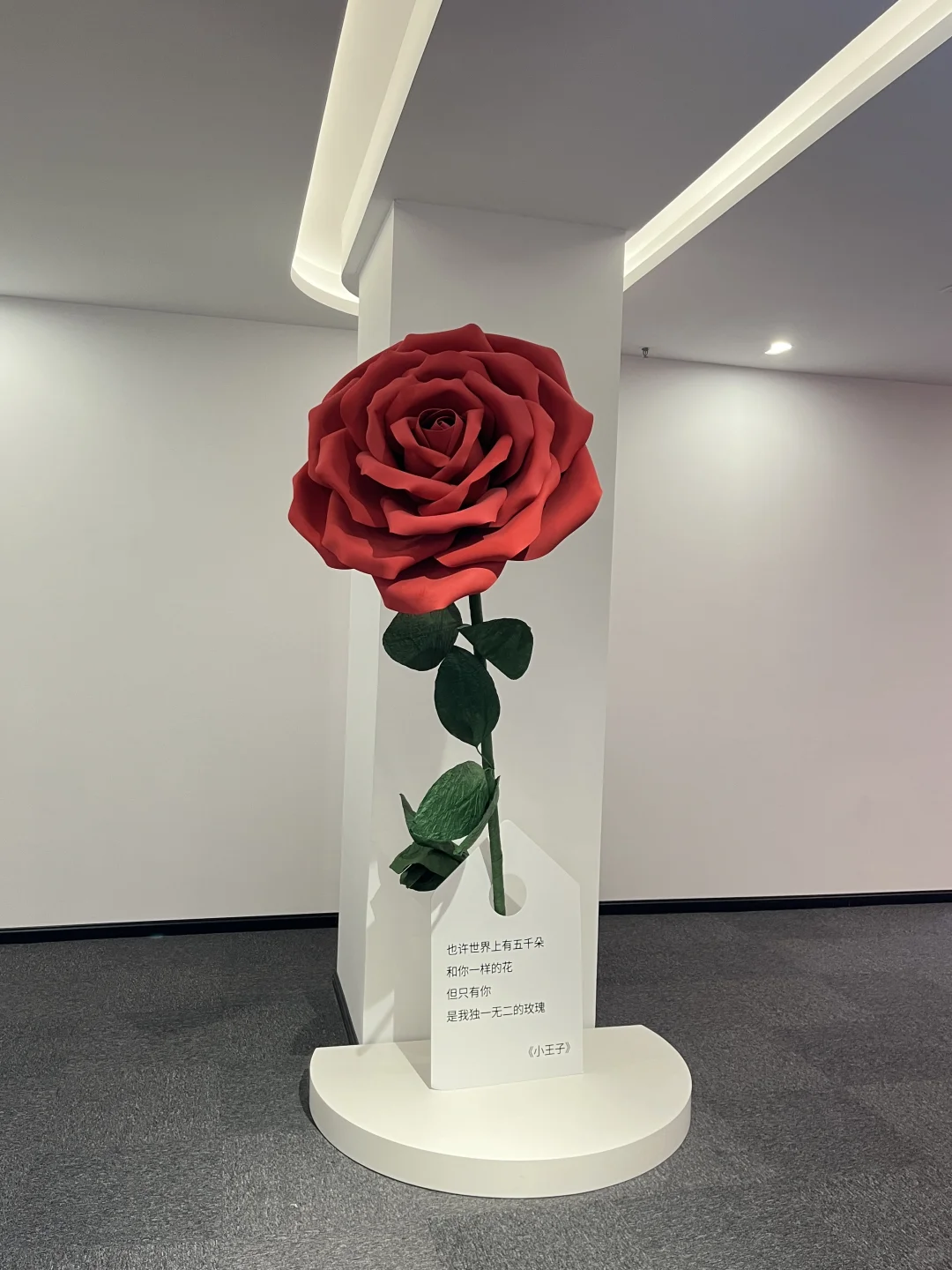 深圳免费展｜多巴胺配色的潮流艺术展