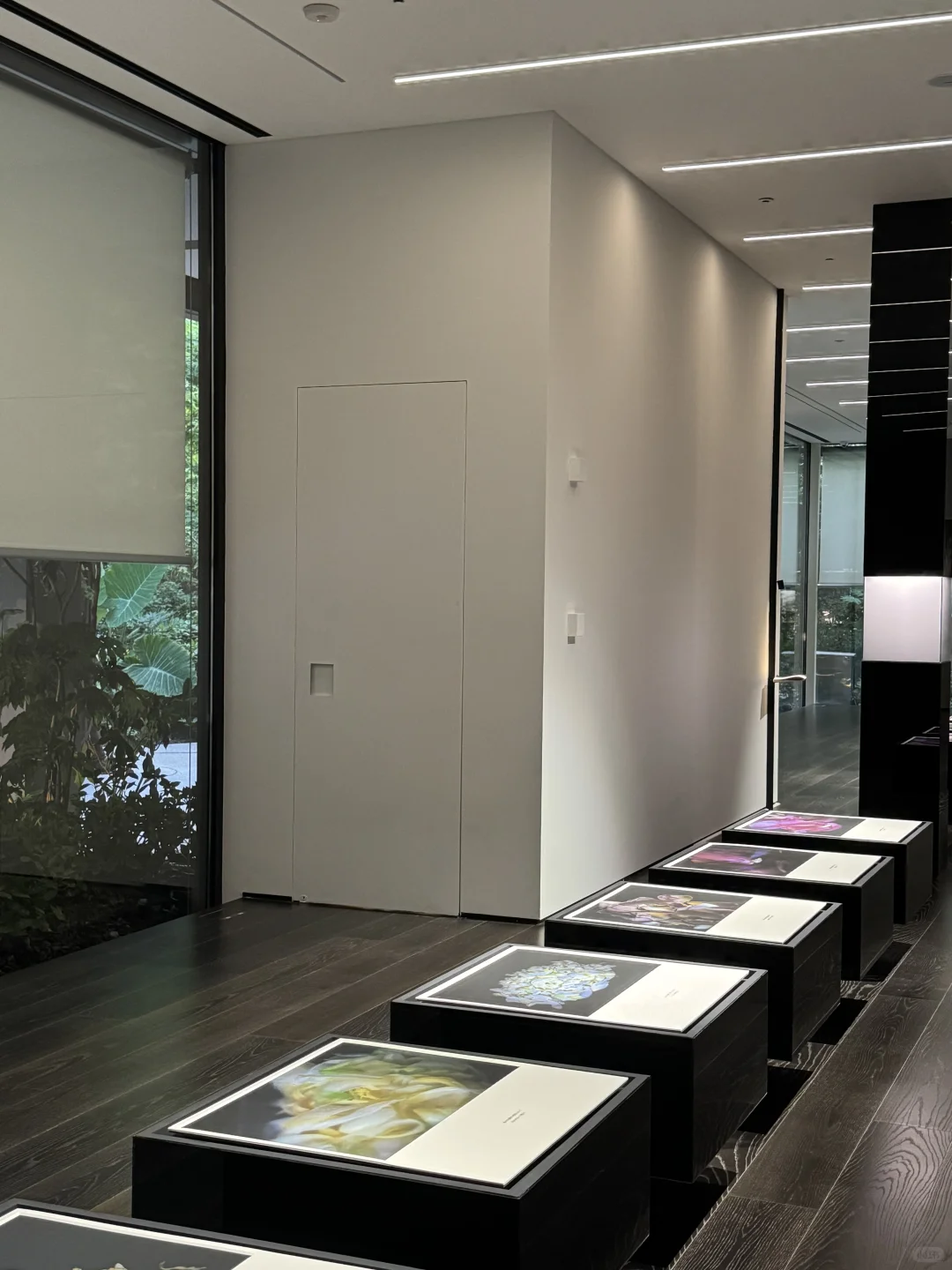 上海新展 | 打工人下班也可以看的展?