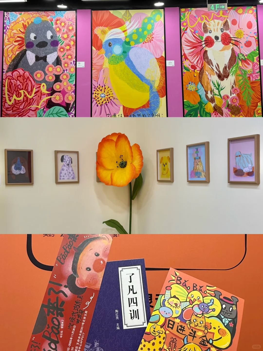 北京新展｜Baobao 来了