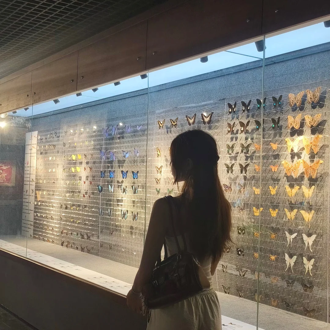 深圳免费拍照打卡?蝴蝶展！！！