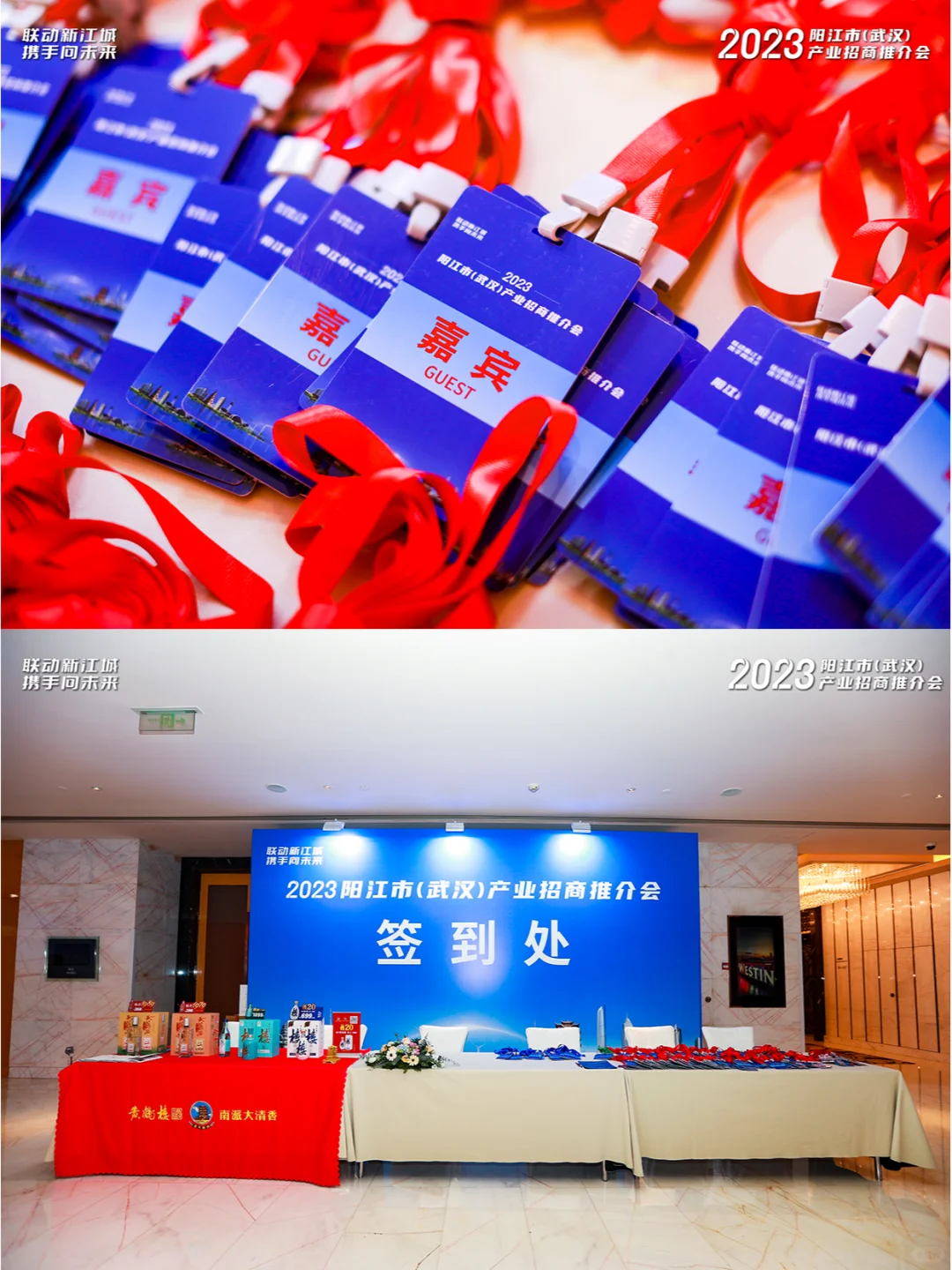 推介会案例丨阳江（武汉）产业推介会