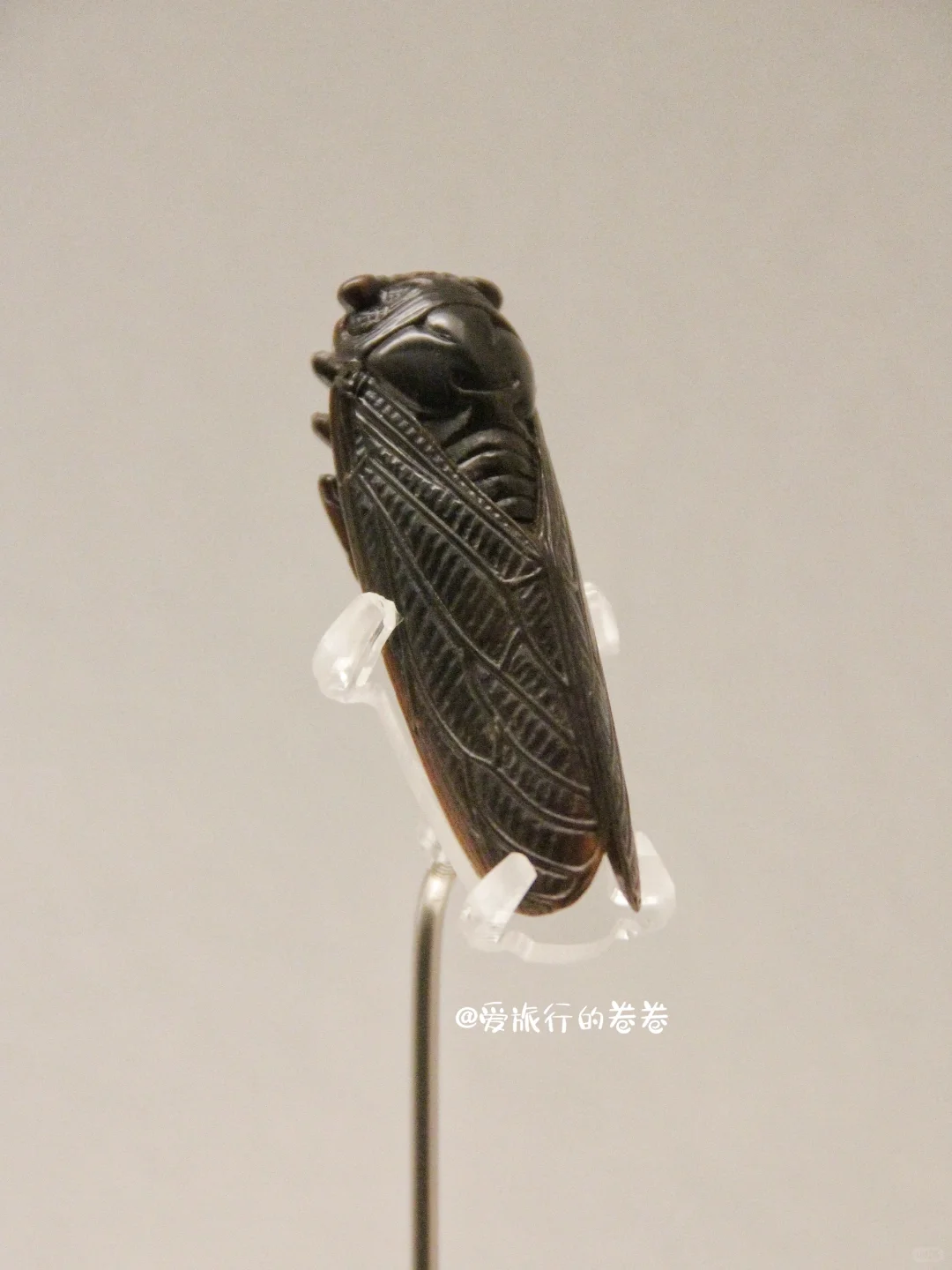 上博古犀珍献展?非常稀有的犀角器合集