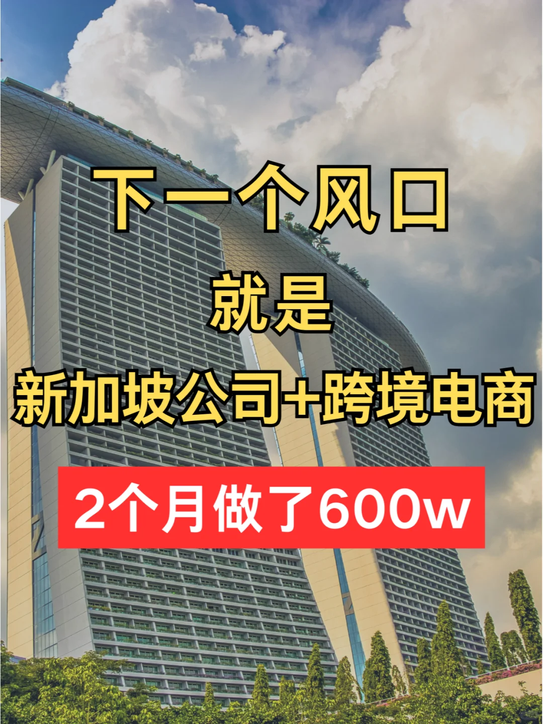 用新加坡公司做跨境电商，两个月做了600w