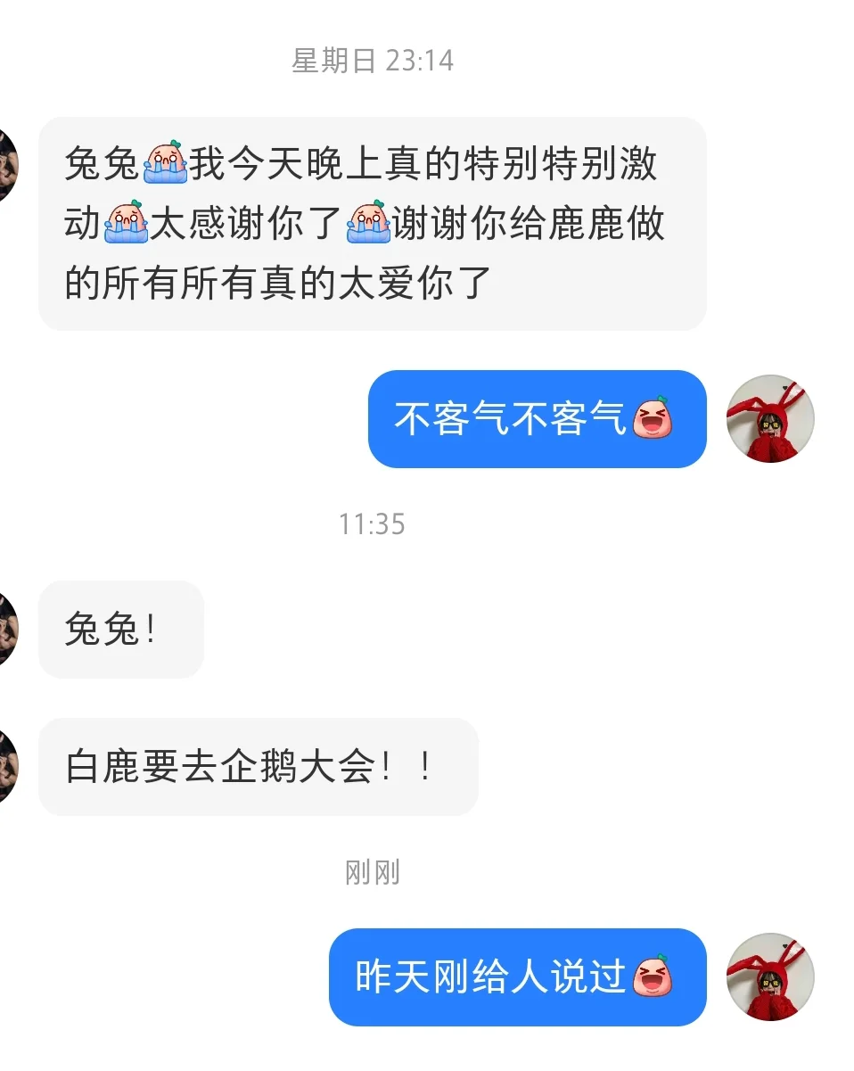 验证✓白鹿去腾讯招商会