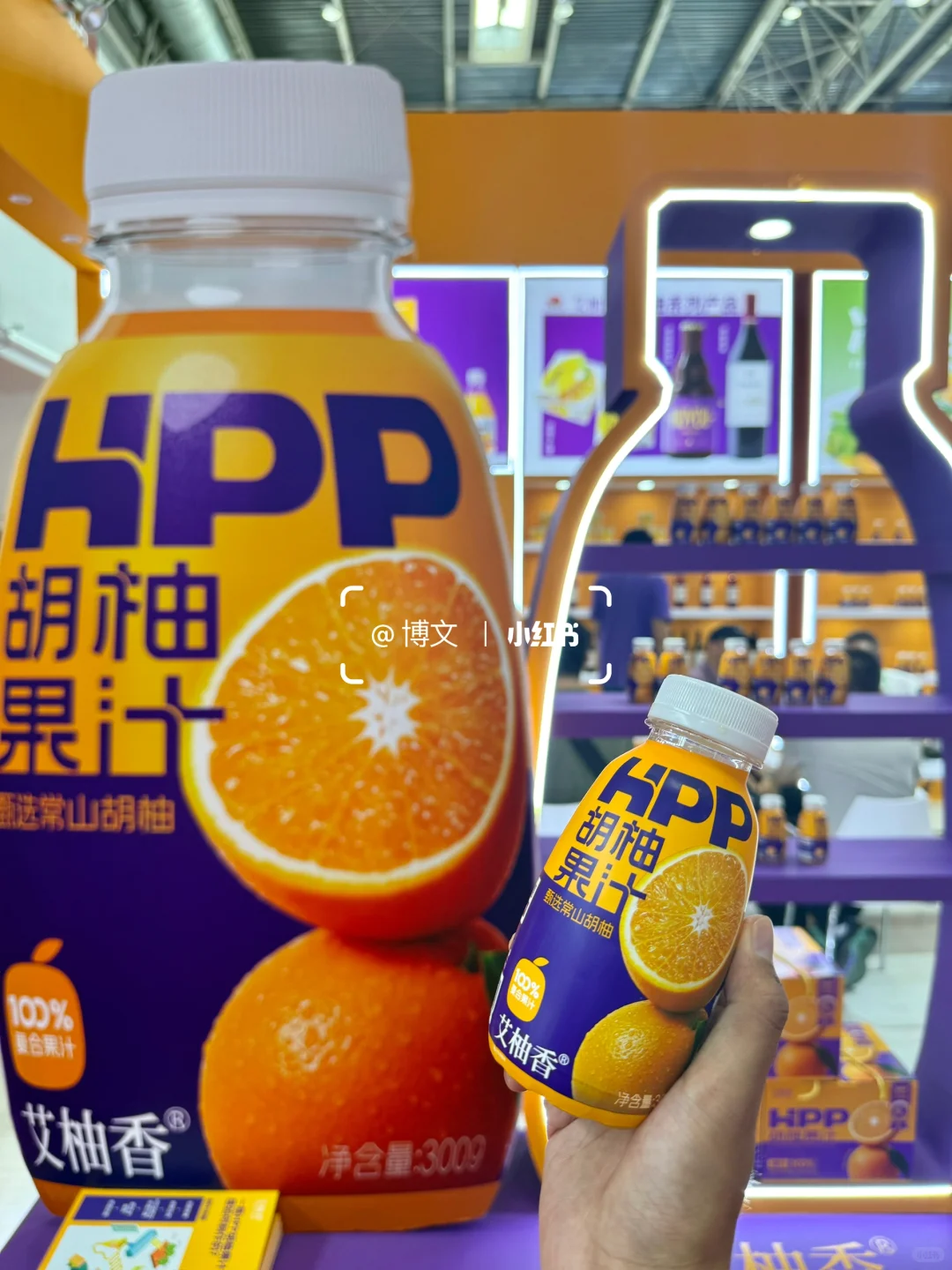第三届中国国际展览馆链博会｜保姆级攻略‼️